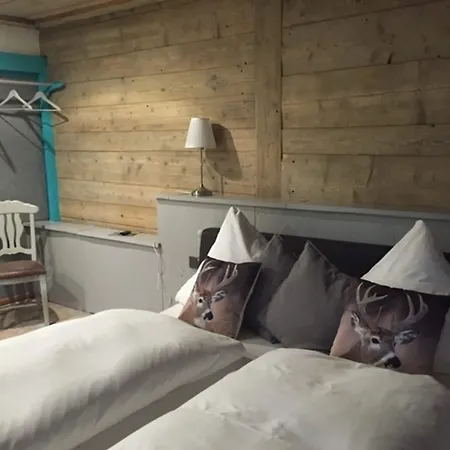 Hotel Alte Muehle 3*